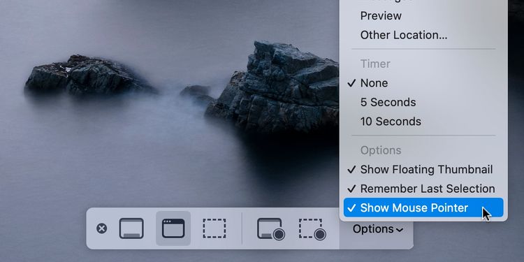 نشانگر ماوس خود را از گزینه‌های اسکرین شات قابل نمایش کنید